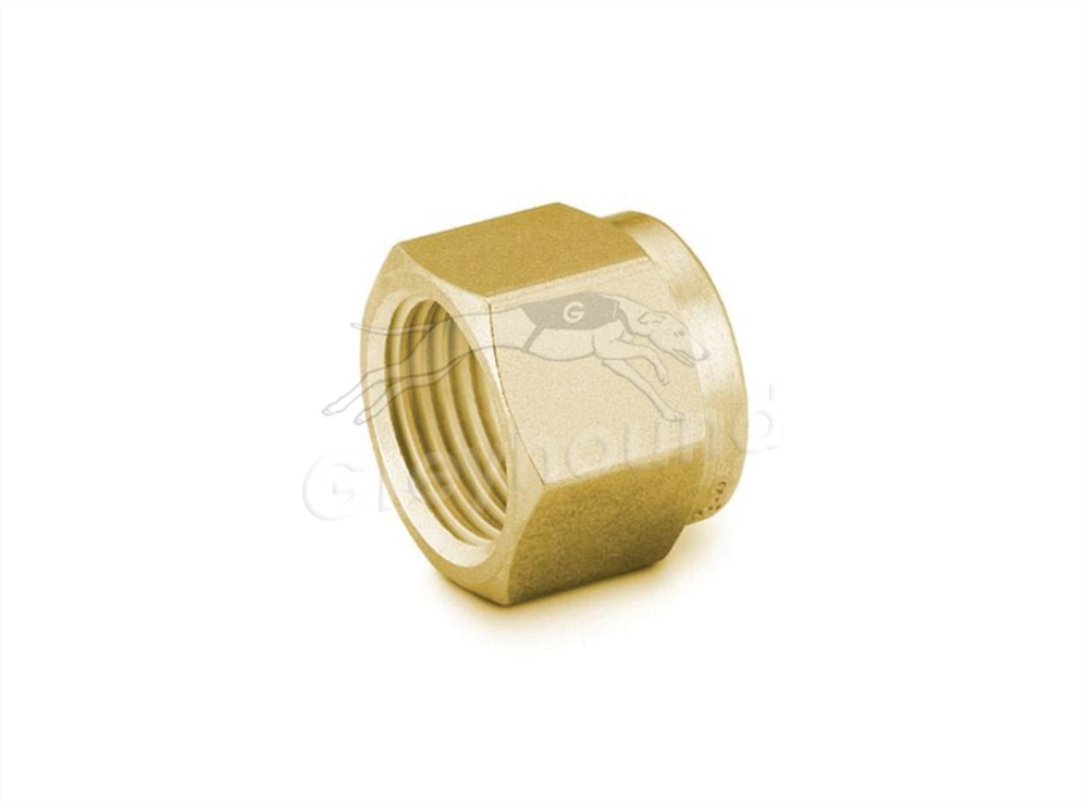 Picture of Nut 1/4" Brass Swagelok 